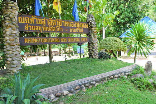 เขตห้ามล่าสัตว์ป่าหนองทุ่งทอง